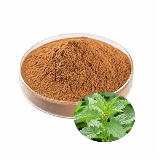 Nettle Extract