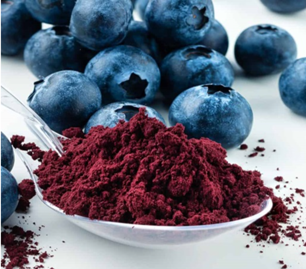 Blueberry Extract