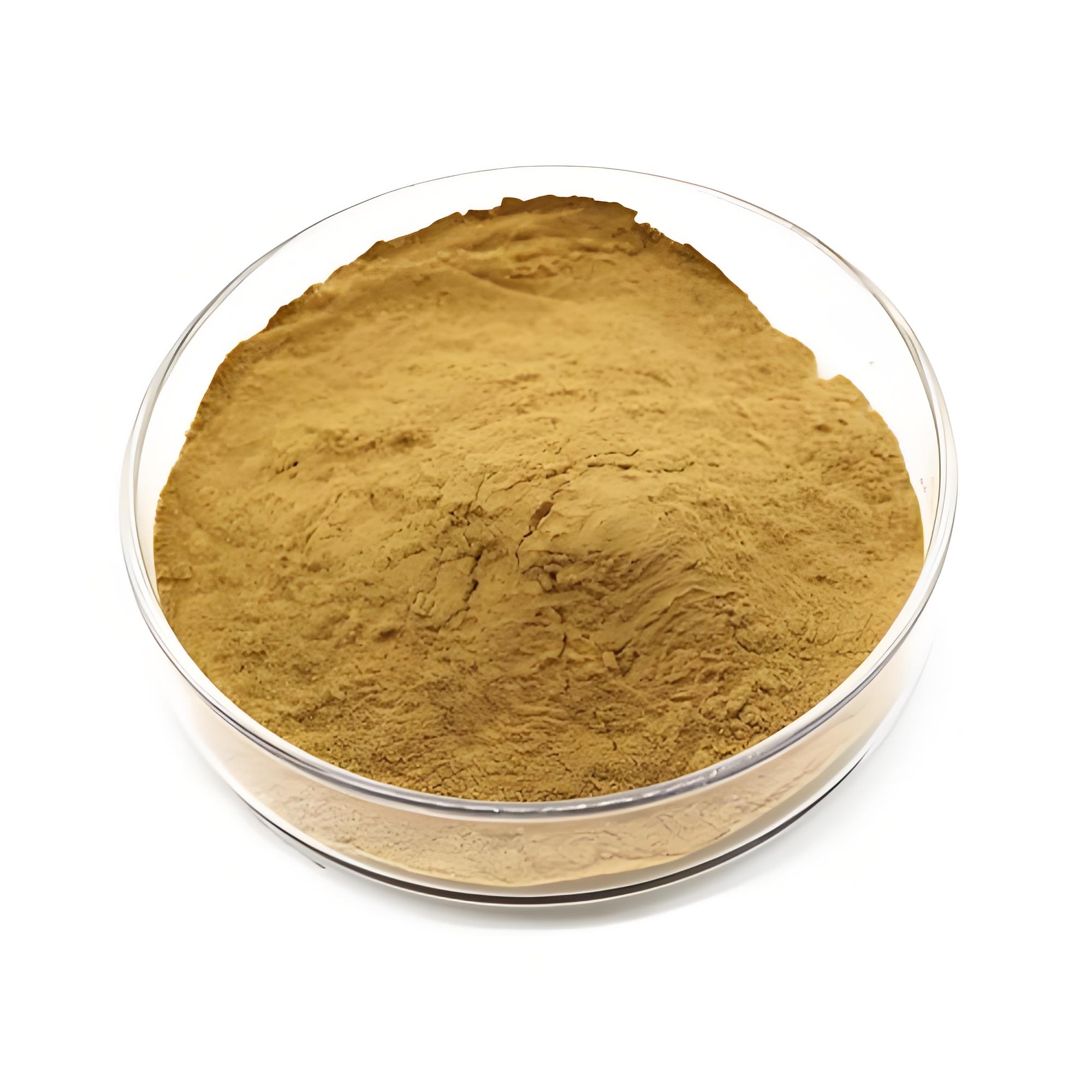 Dandelion Extract