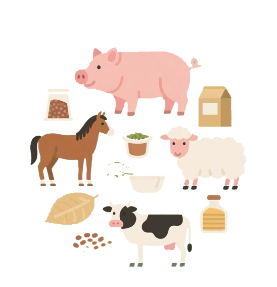 Feed Ingredients